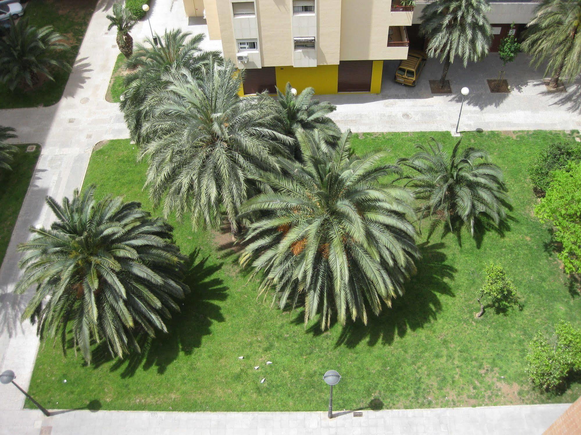Apartamentos Plaza Picasso Valencia Luaran gambar